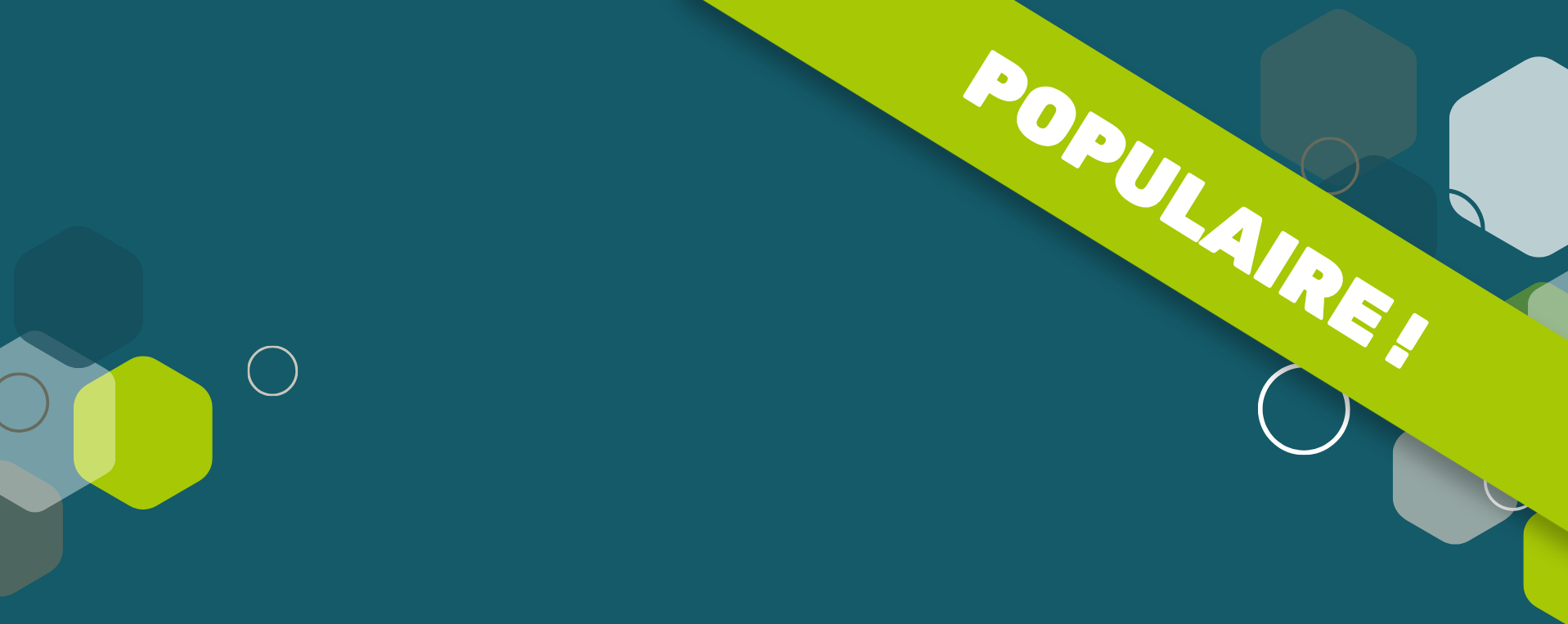 Bannière vert foncé promotion