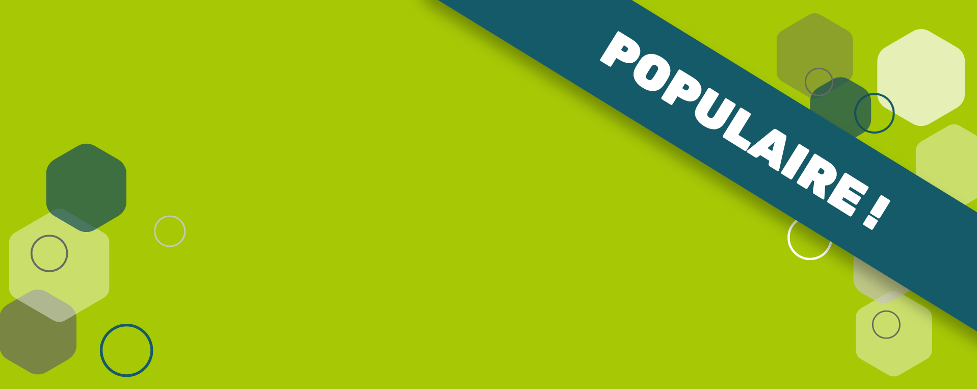 Bannière vert clair promotion
